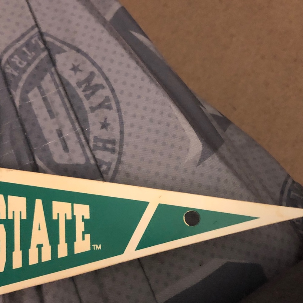 Gray Michigan State banner - Picture 2 of 4